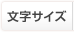 文字サイズ
